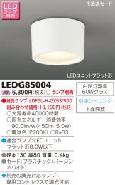 LEDG85004