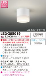 LEDG85019