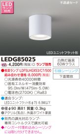 LEDG85025