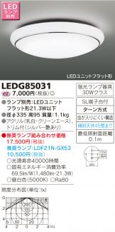 LEDG85031