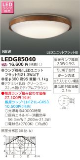 LEDG85040