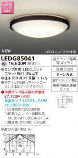 LEDG85041