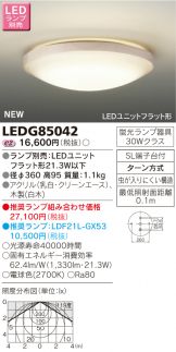 LEDG85042