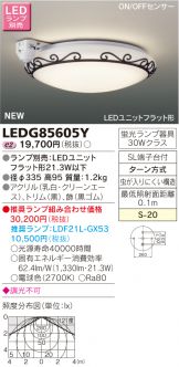 LEDG85605Y