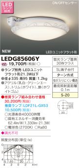 LEDG85606Y
