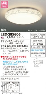 LEDG85606