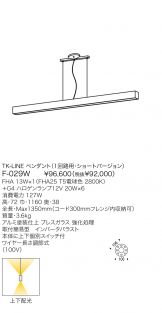 F-029W