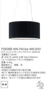 P2838B