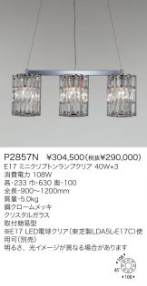 P2857N