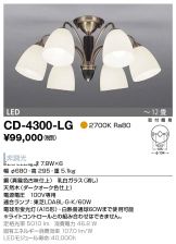 CD-4300-LG