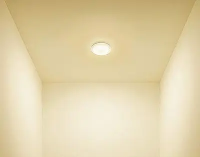 コラム画像