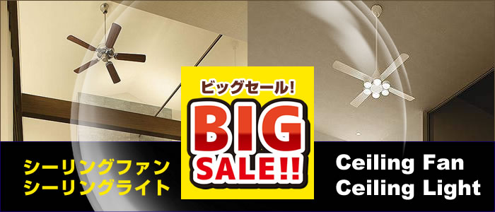 BIG SALE