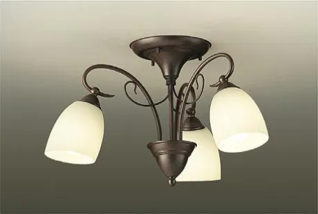 DCH-38779Y