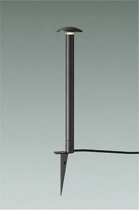 DWP-42754Y