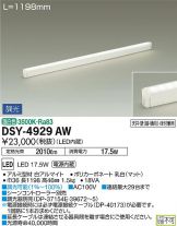 DSY-4929AW