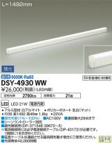 DSY-4930WW
