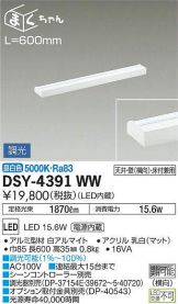 DSY-4391WW