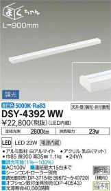 DSY-4392WW