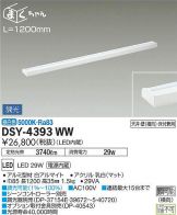 DSY-4393WW