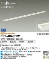 DSY-4849YW