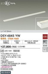 DSY-4845YW