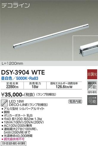 DSY-3904WTE