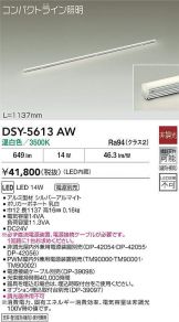 DSY-5613AW