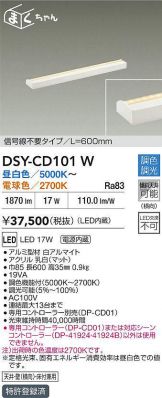 DSY-CD101W