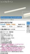 DSY-5573FW