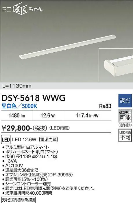 DSY-5618WWG