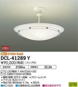 DCL-41289Y