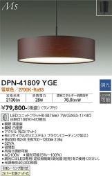 DPN-41809YGE
