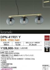 DPN-41901Y