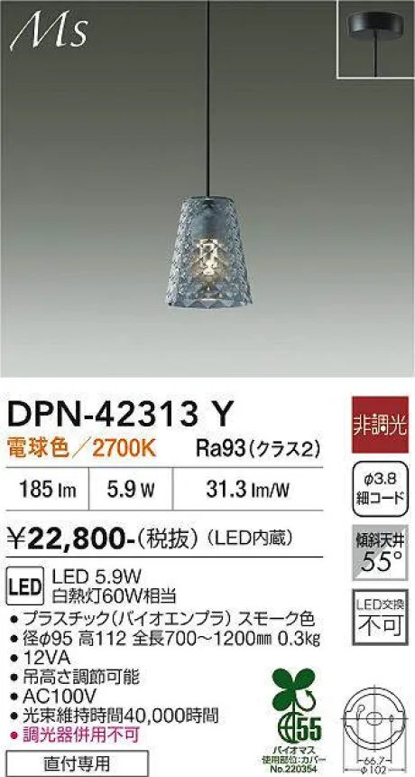 DPN-42313Y