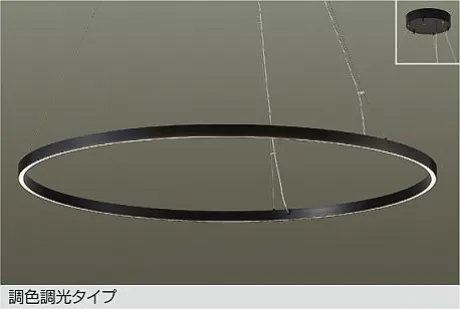 DPN-42593