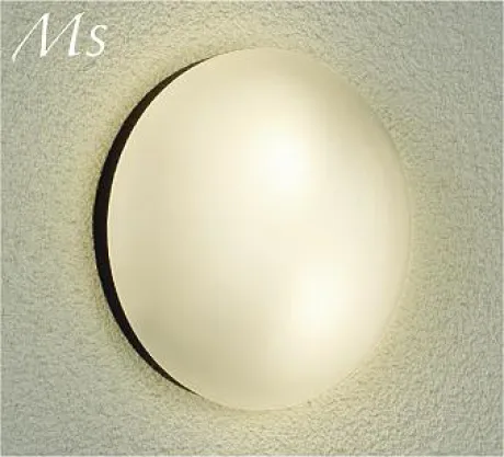 DWP-41753Y