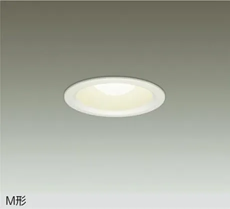 DDL-4828YW