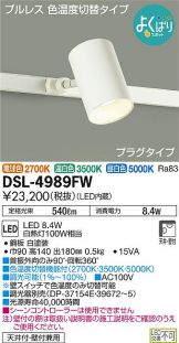 DSL-4989FW