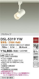 DSL-5319YW