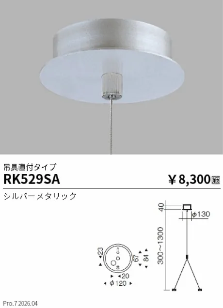 遠藤照明 吊具直付タイプ RK529SA