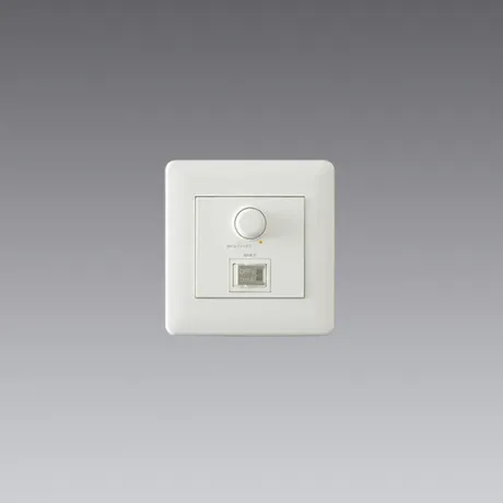 RX411W
