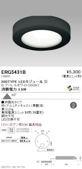 ERG5431B