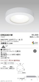 ERG5431W