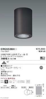 ERG5536H