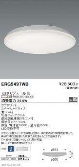 ERG5497WB