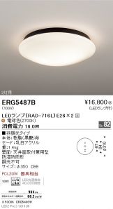ERG5487B