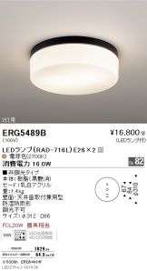 ERG5489B