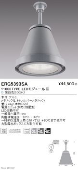 ERG5393SA