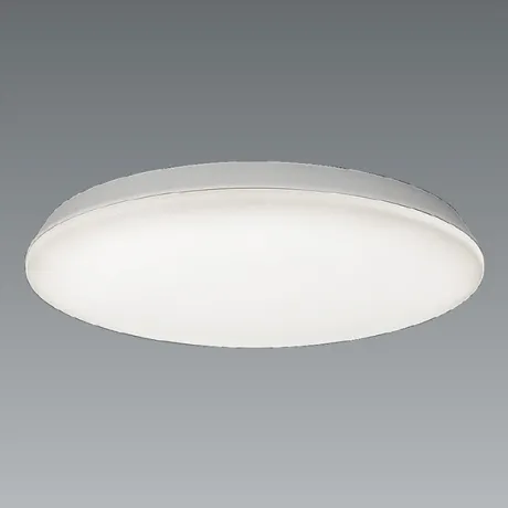 ERG5499WB