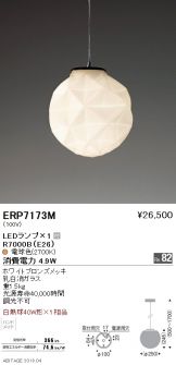 ERP7173M
